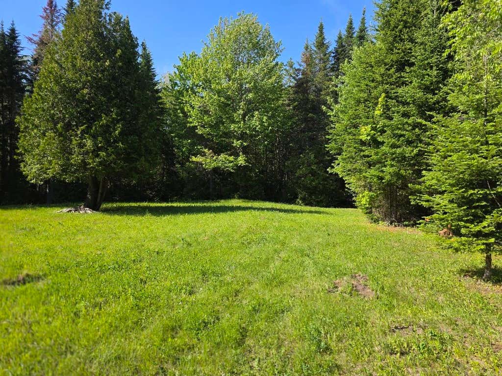 Photo of Lot 10 Davis Brook Road, Amity, ME 04471 (MLS # 1672027)