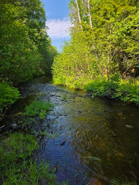 Photo of Lot 10 Davis Brook Road, Amity, ME 04471 (MLS # 1672027)