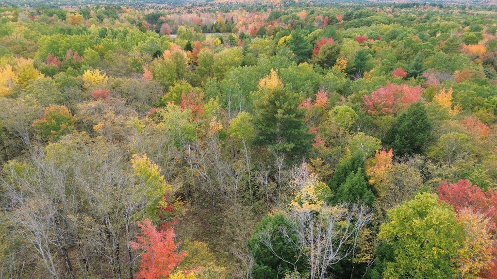 Photo of 490 Branch Mills Road, Palermo, ME 04354 (MLS # 1684177)