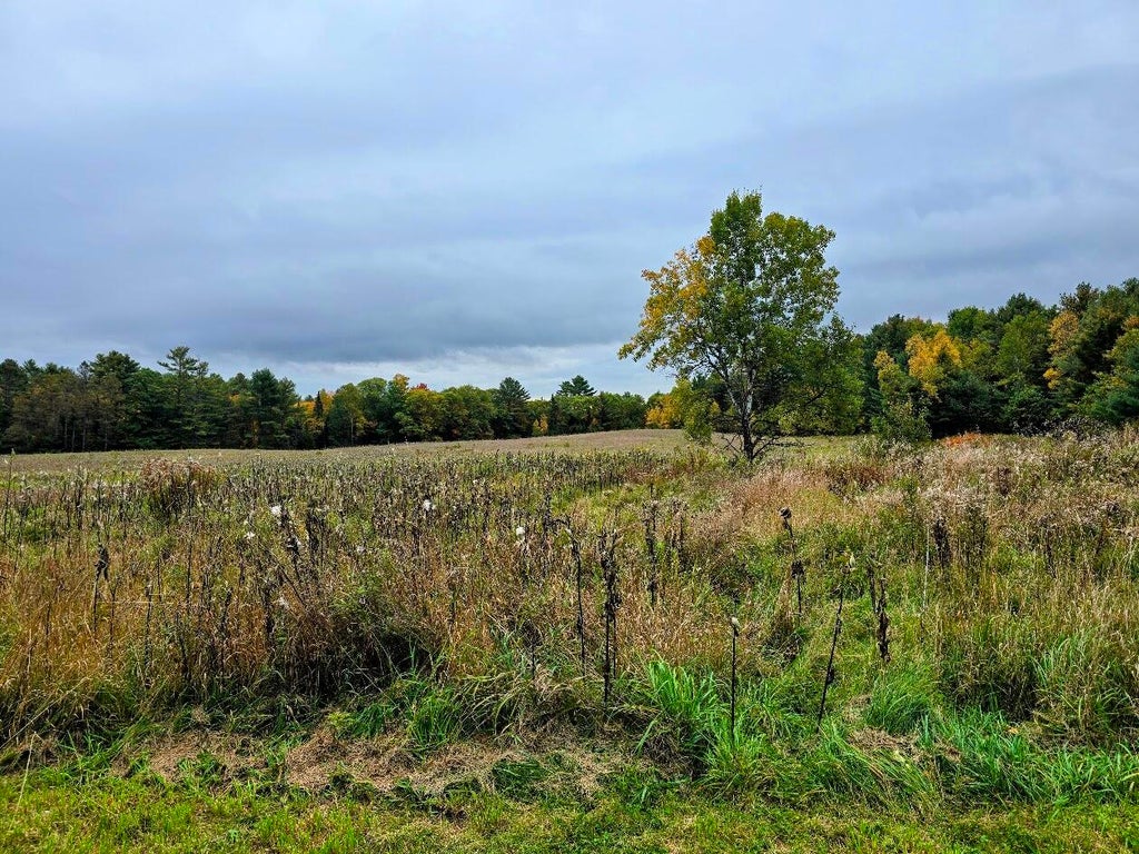 Photo of 78 Pleasant Street, Brownville, ME 04414 (MLS # 1683381)