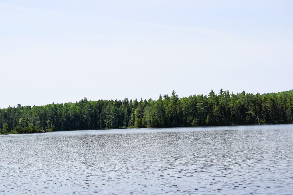 Photo of MS03 Middle Carry Pond, Carrying Place Twp, ME 04961 (MLS # 1667396)