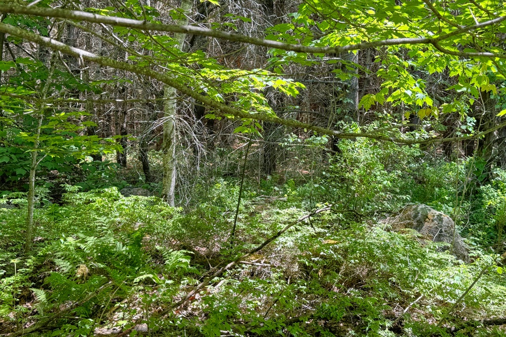 Photo of lot 23 Mountain View Lane, Hope, ME 04847 (MLS # 1667263)