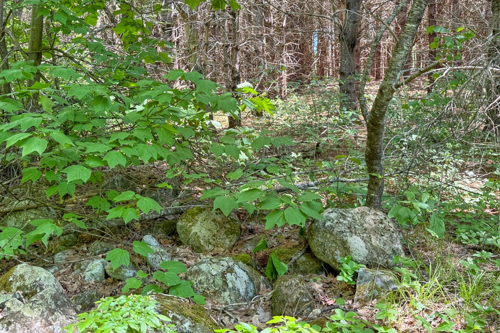 Photo of lot 23 Mountain View Lane, Hope, ME 04847 (MLS # 1667263)