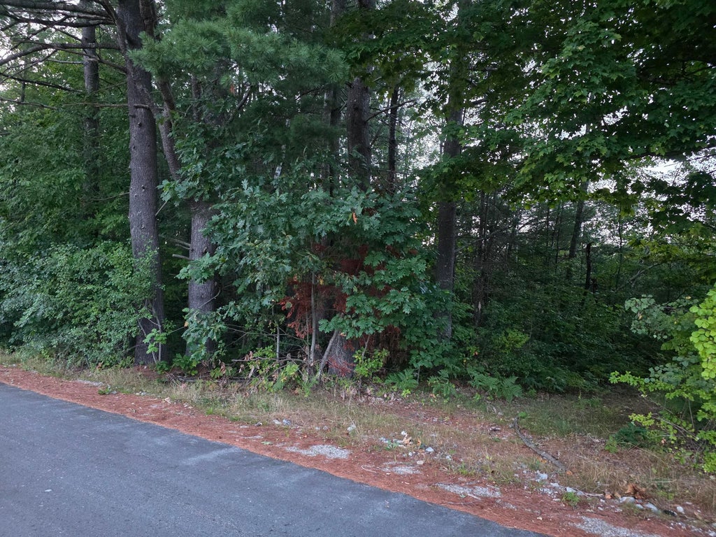 Photo of TBD Main Main Street, Greene, ME 04236 (MLS # 1680271)