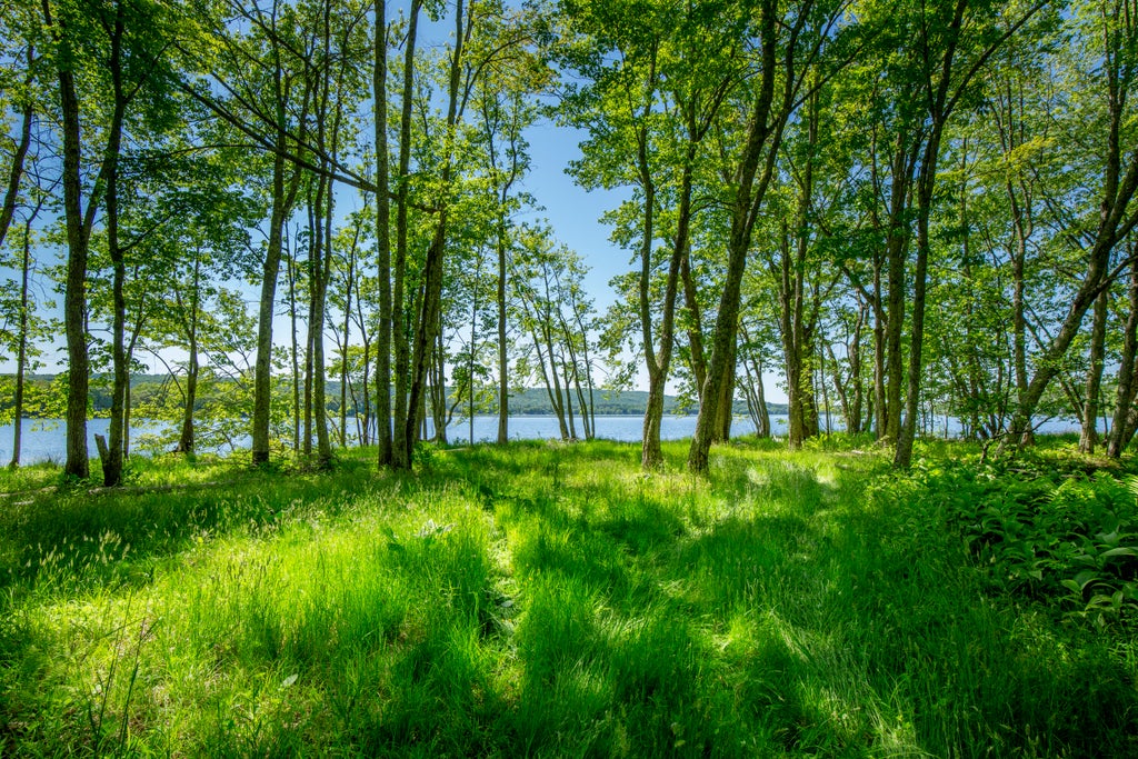 Photo of 914 Union Road, Appleton, ME 04862 (MLS # 1667512)