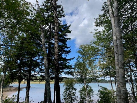 Photo of Lot 56 Off Dunns Point Way, Machiasport, ME 04655 (MLS # 1681314)