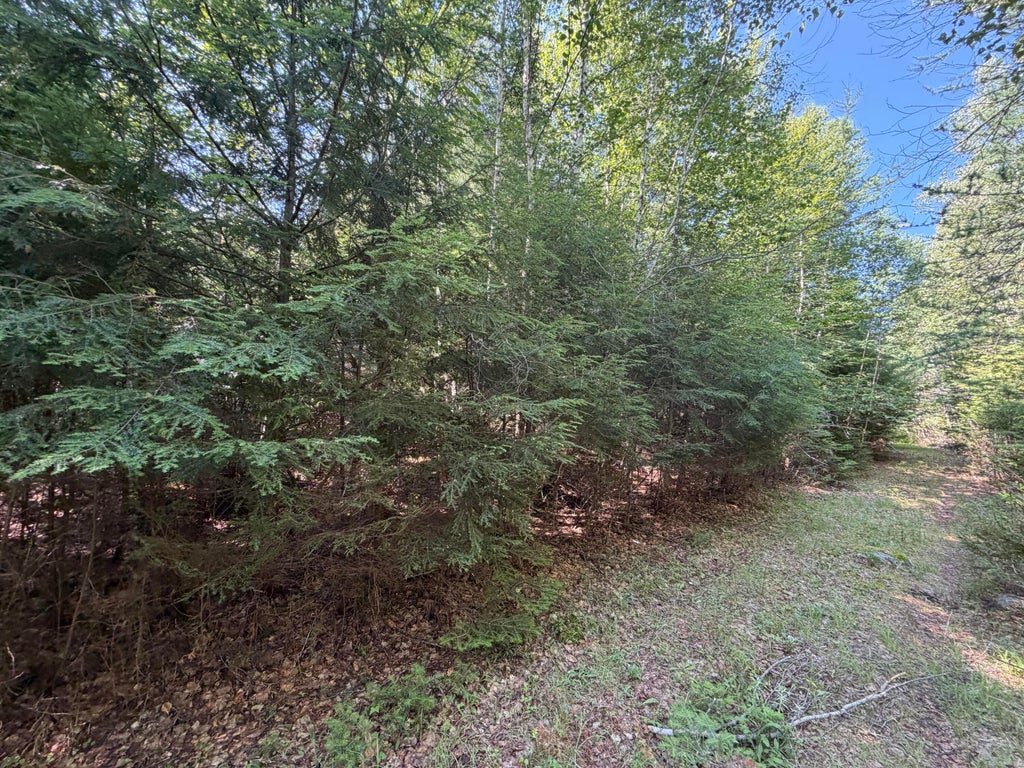 Photo of M5L18&amp;18-1 Clark Road, Burlington, ME 04417 (MLS # 1672584)