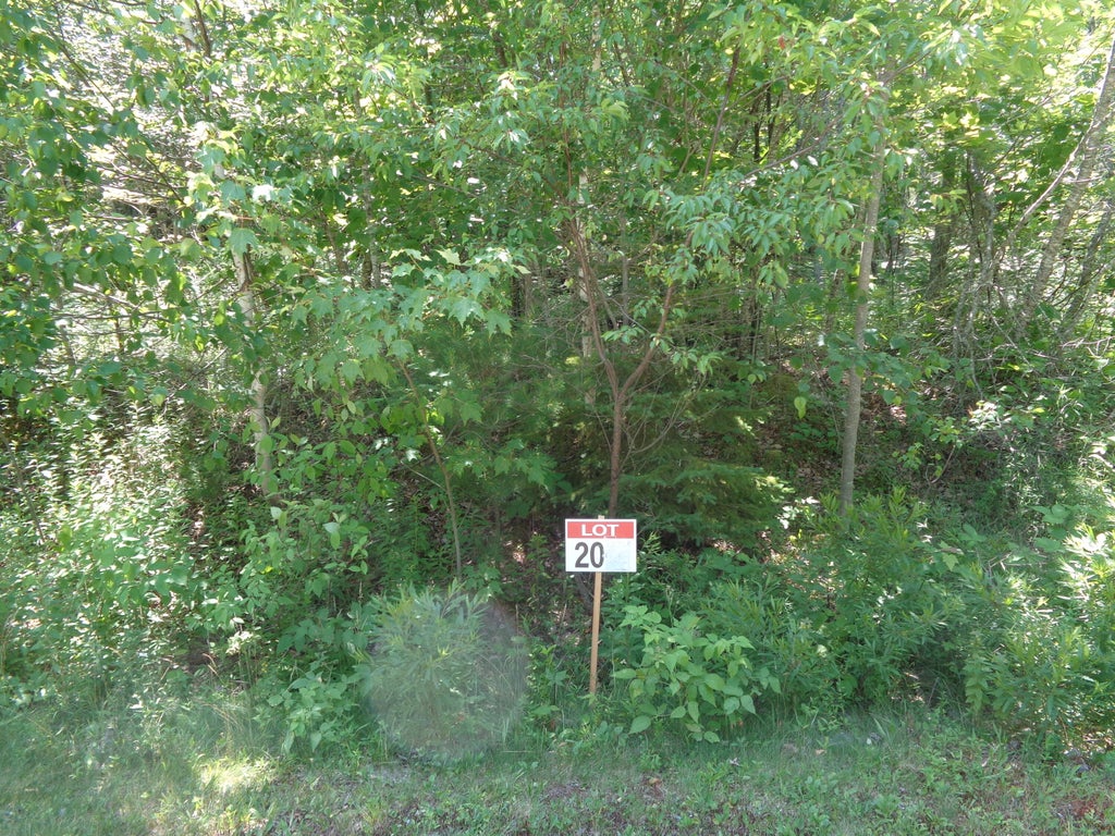 Photo of Lot20-20 Bailey Mountain Road, Franklin, ME 04634 (MLS # 1661531)