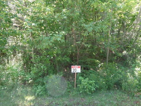 Photo of Lot20-20 Bailey Mountain Road, Franklin, ME 04634 (MLS # 1661531)