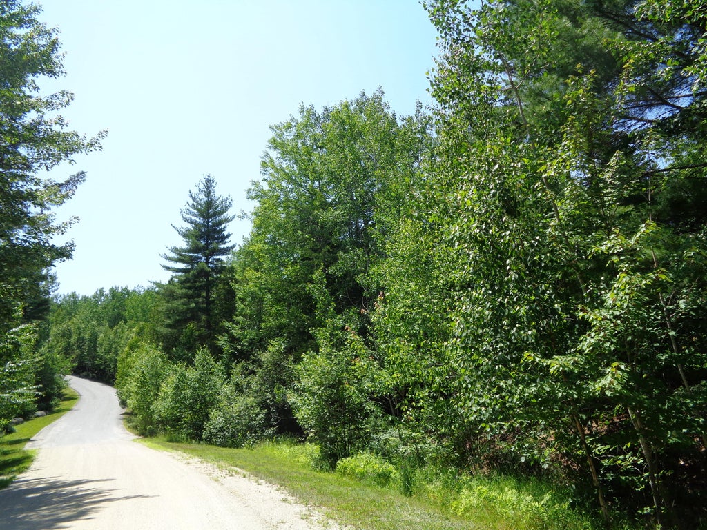 Photo of Lot20-20 Bailey Mountain Road, Franklin, ME 04634 (MLS # 1661531)