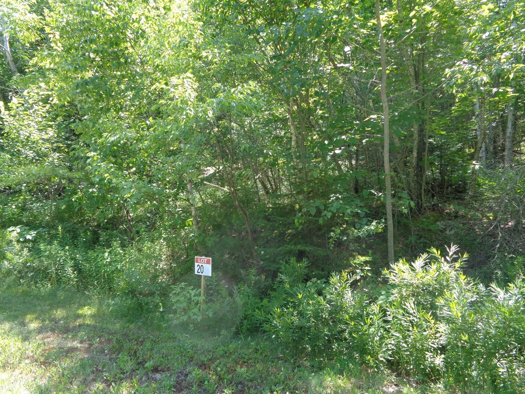 Photo of Lot 20 Bailey Mountain Drive, Franklin, ME 04634 (MLS # 1661531)