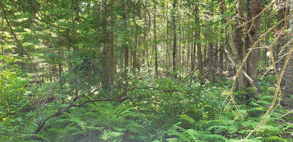 Photo of Lot#6 Old County Road, Milo, ME 04463 (MLS # 1681561)