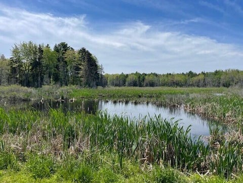 Photo of 343 Clement Point Road, Warren, ME 04864 (MLS # 1684513)