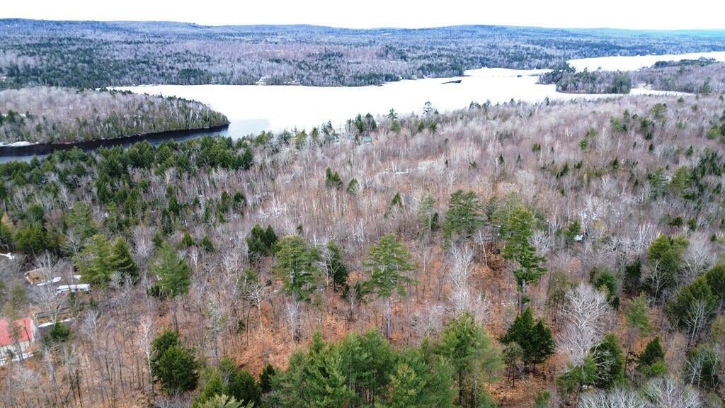 Photo of Lot 5 Peterson Road, Bowerbank, ME 04426 (MLS # 1660351)