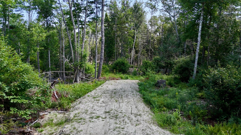 Photo of M08 L044-D Flye Point Road, Brooklin, ME 04616 (MLS # 1676782)