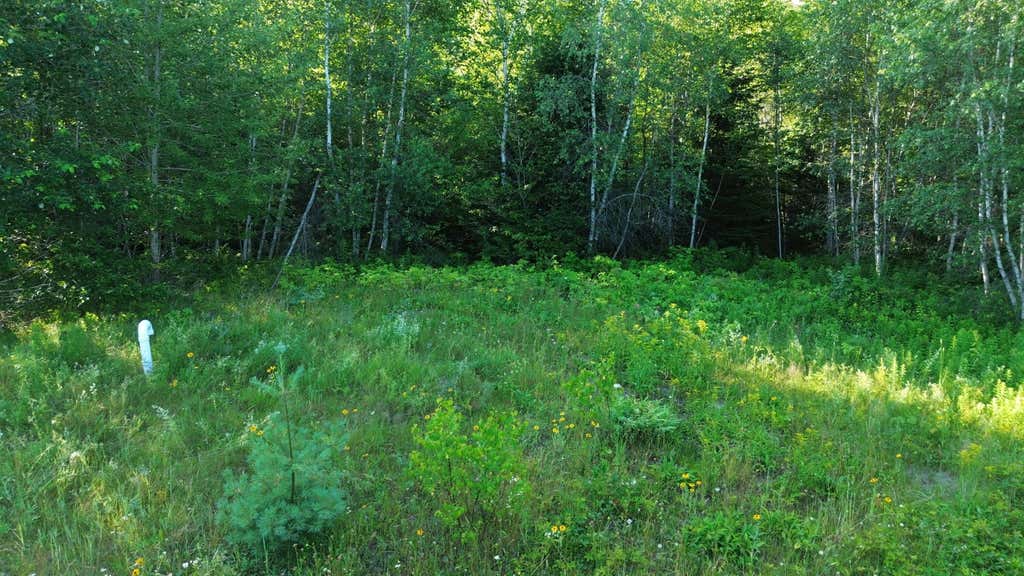 Photo of 200 Knox Ridge North Road N, Knox, ME 04986 (MLS # 1671506)