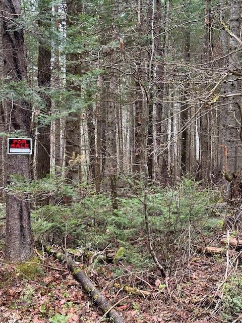 Photo of 3 Brimstone Road Road, Lagrange, ME 04453 (MLS # 1680462)