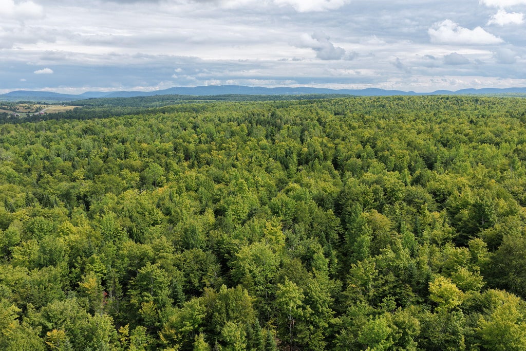 Photo of M3L11 Off Route 212, Merrill, ME 04780 (MLS # 1674306)