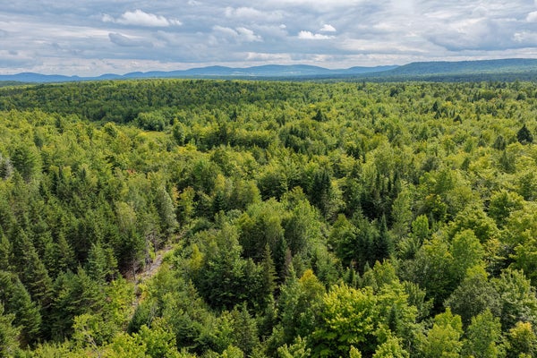 ADDRESS PRIVATE, MORRILL, ME 04952 - Image 29feac62face3499d6d4400e8ca7ffbc/2936714985
