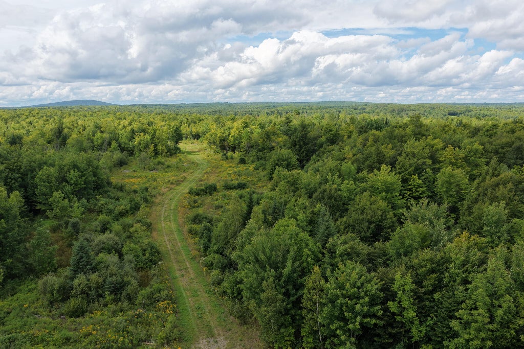 Photo of M3L11 Off Route 212, Merrill, ME 04780 (MLS # 1674306)
