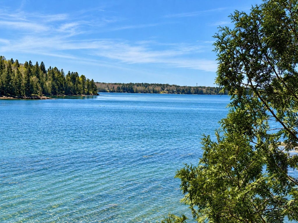Photo of Lot 20-15 Collins Cove Road, Machiasport, ME 04655 (MLS # 1684683)