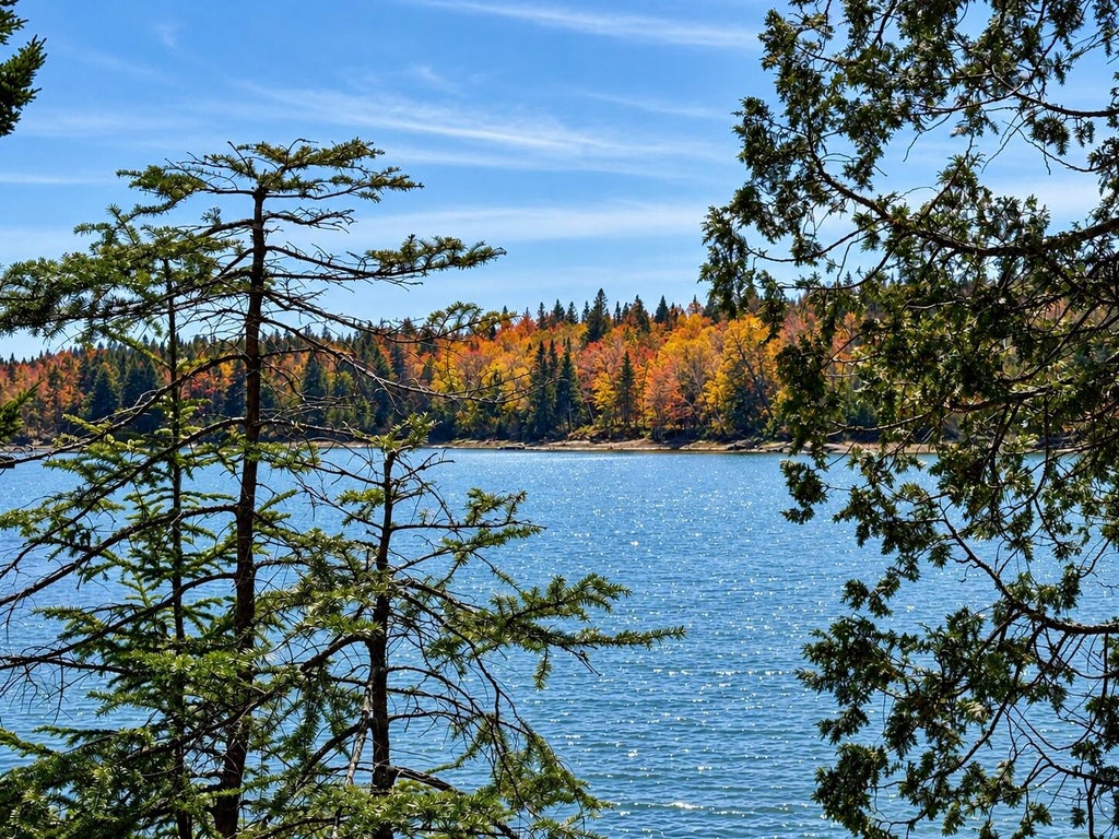 Photo of Lot 20-15 Collins Cove Road, Machiasport, ME 04655 (MLS # 1684683)