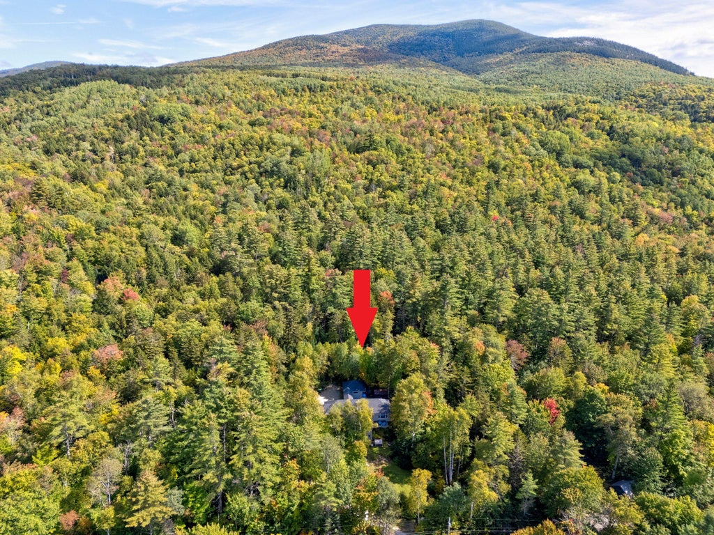 Photo of 229 Branch Road, Newry, ME 04261 (MLS # 1682030)