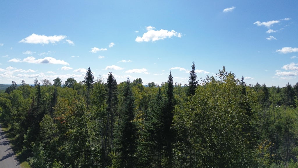 Photo of M 1 31C B Road, Hammond, ME 04730 (MLS # 1664764)