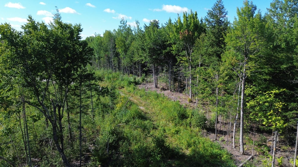 Photo of M 1 31C B Road, Hammond, ME 04730 (MLS # 1664764)