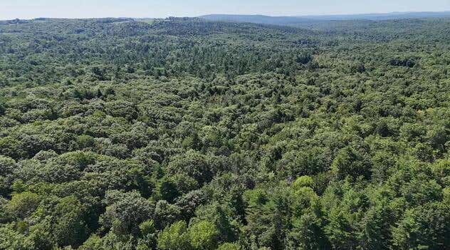 Photo of Lot 42-B Station Road, Hebron, ME 04238 (MLS # 1675241)