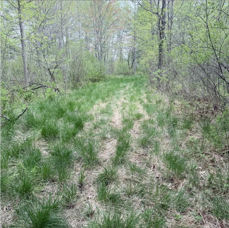 Photo of 0 Constitution Avenue, Hampden, ME 04444 (MLS # 1663163)