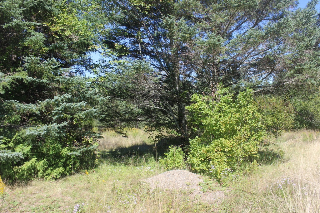 Photo of 193 Golding Road, Perry, ME 04667 (MLS # 1680087)