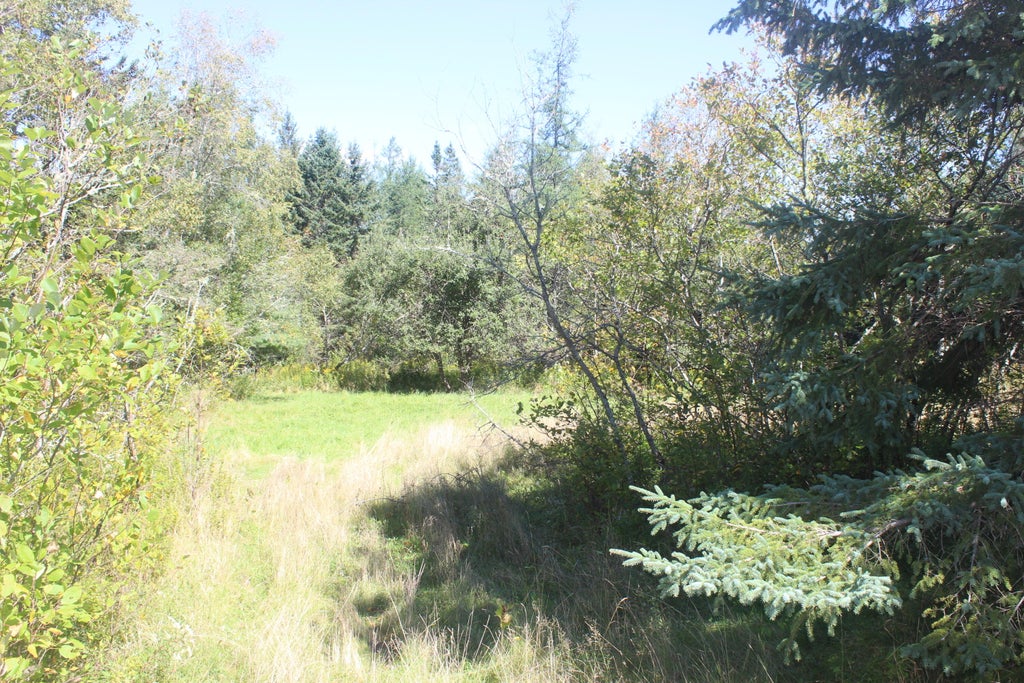 Photo of 193 Golding Road, Perry, ME 04667 (MLS # 1680087)