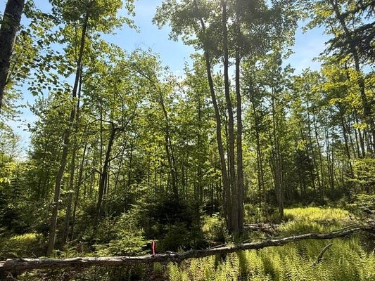 16 SUNSET DR, PENOBSCOT, ME 04476 - Image 2d88b7cbb875fb4105028fd67fa0d892/538275641