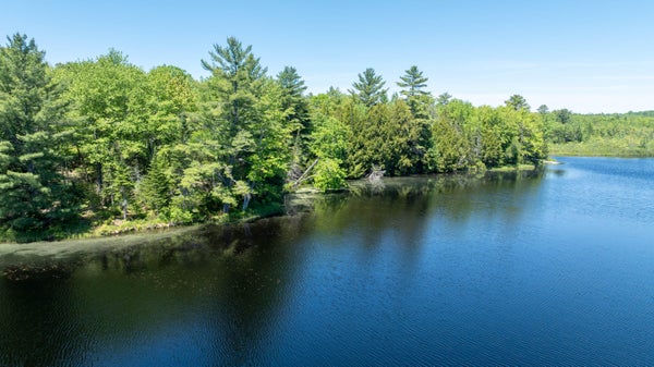 2 SAVAGE ST, AUGUSTA, ME 04330 - Image 2e550f5961efab53cdcfade91a538bd5/997204320