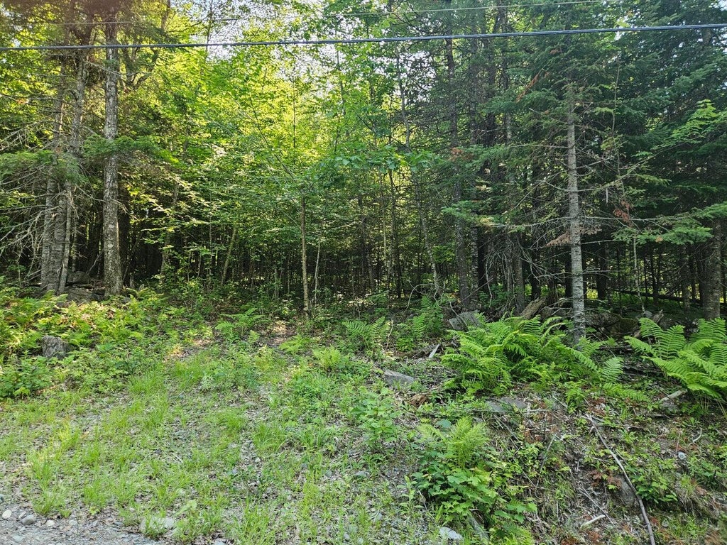 Photo of Lot 2-C Rips Road, Brownville, ME 04414 (MLS # 1676540)