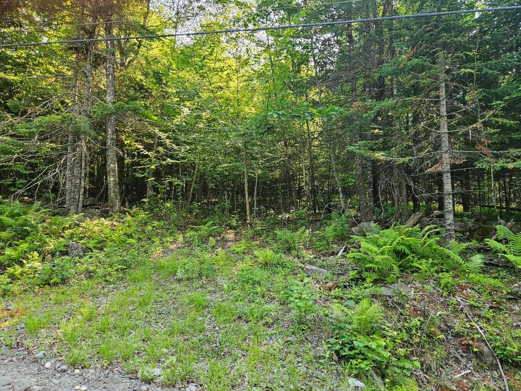 Photo of Lot 2-C Rips Road, Brownville, ME 04414 (MLS # 1676540)
