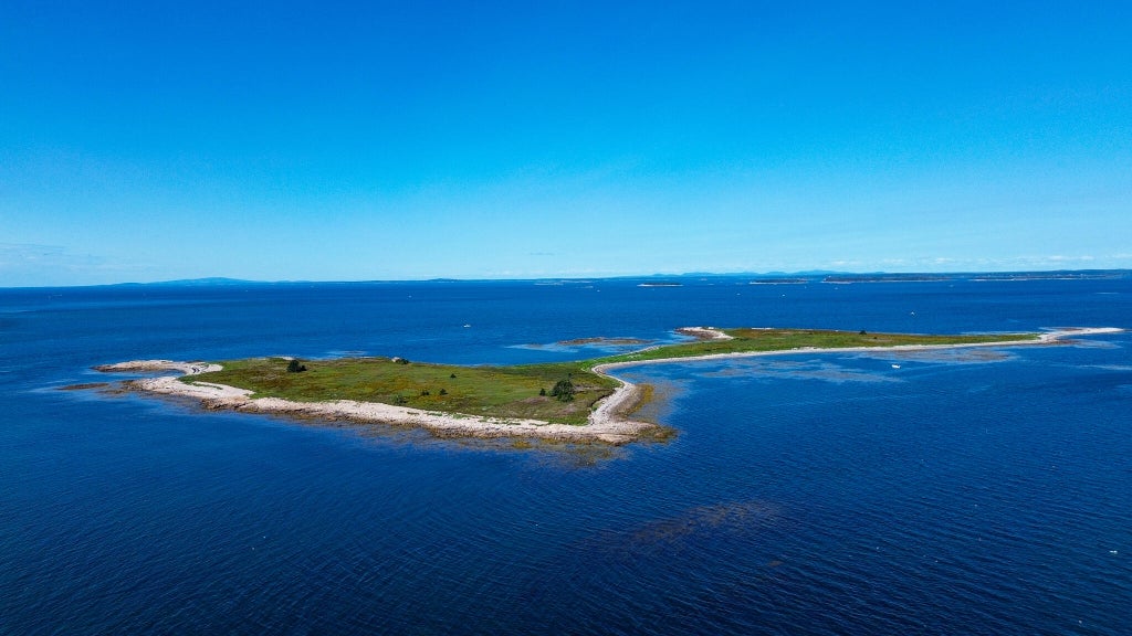 Photo of 0 Western Bay, Beals, ME 04611 (MLS # 1680081)
