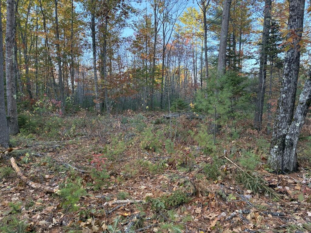 Photo of Lot 16 (2) Whittier Road, Farmington, ME 04938 (MLS # 1683476)