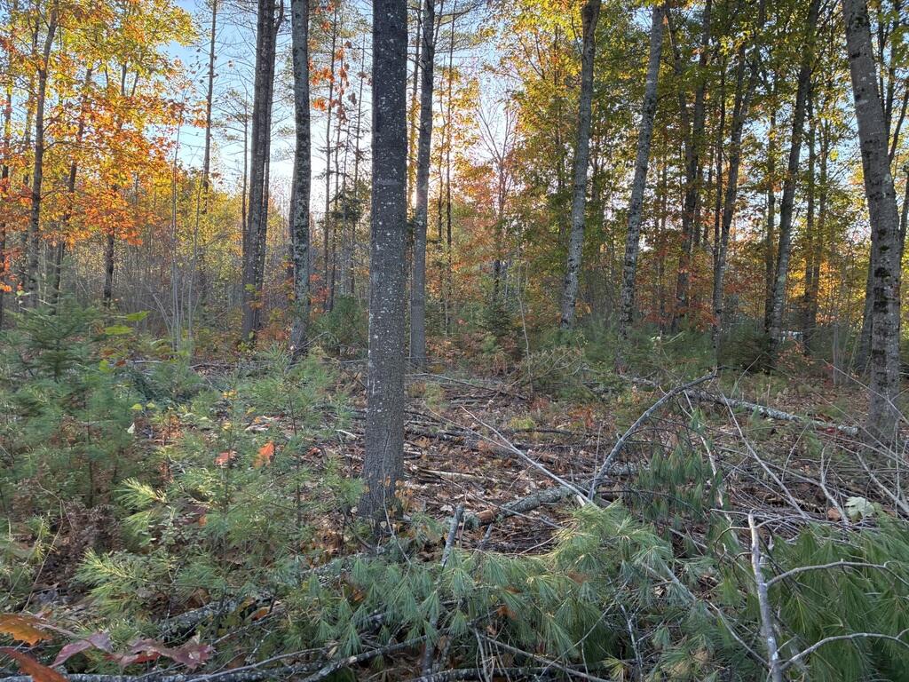 Photo of Lot 16 (2) Whittier Road, Farmington, ME 04938 (MLS # 1683476)