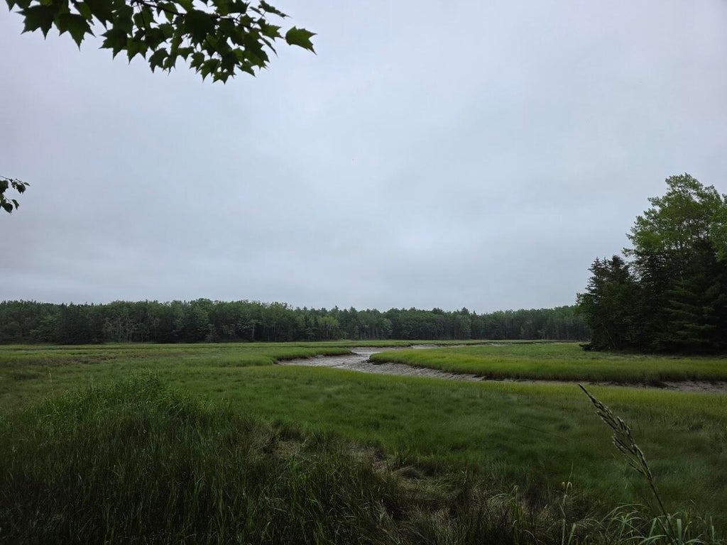 Photo of Lot 175 Poplar Lane, Milbridge, ME 04658 (MLS # 1673132)