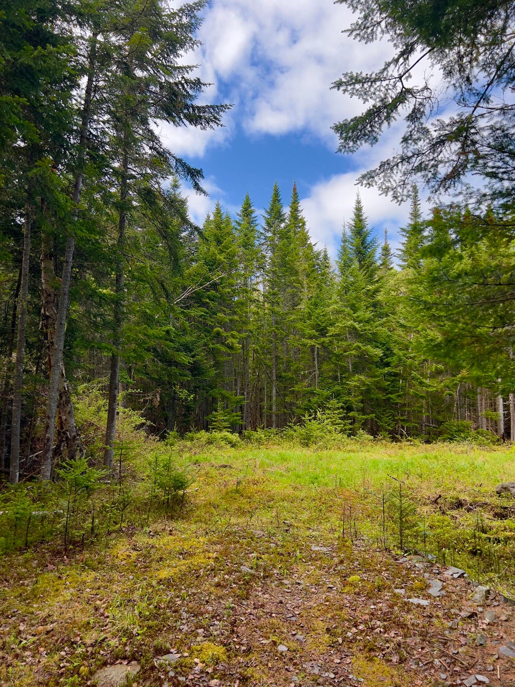 Photo of 2/001-09A Kendall Farm Trail, Dallas Plt, ME 04970 (MLS # 1656477)