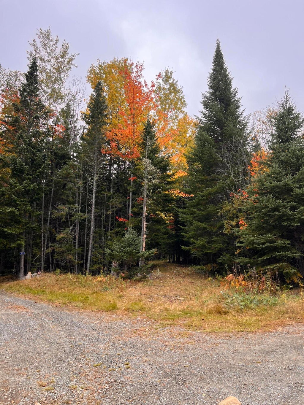 Photo of 2/001-09A Kendall Farm Trail, Dallas Plt, ME 04970 (MLS # 1656477)