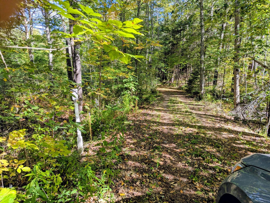 Photo of 755 Winslows Mills Road N, Waldoboro, ME 04572 (MLS # 1639879)