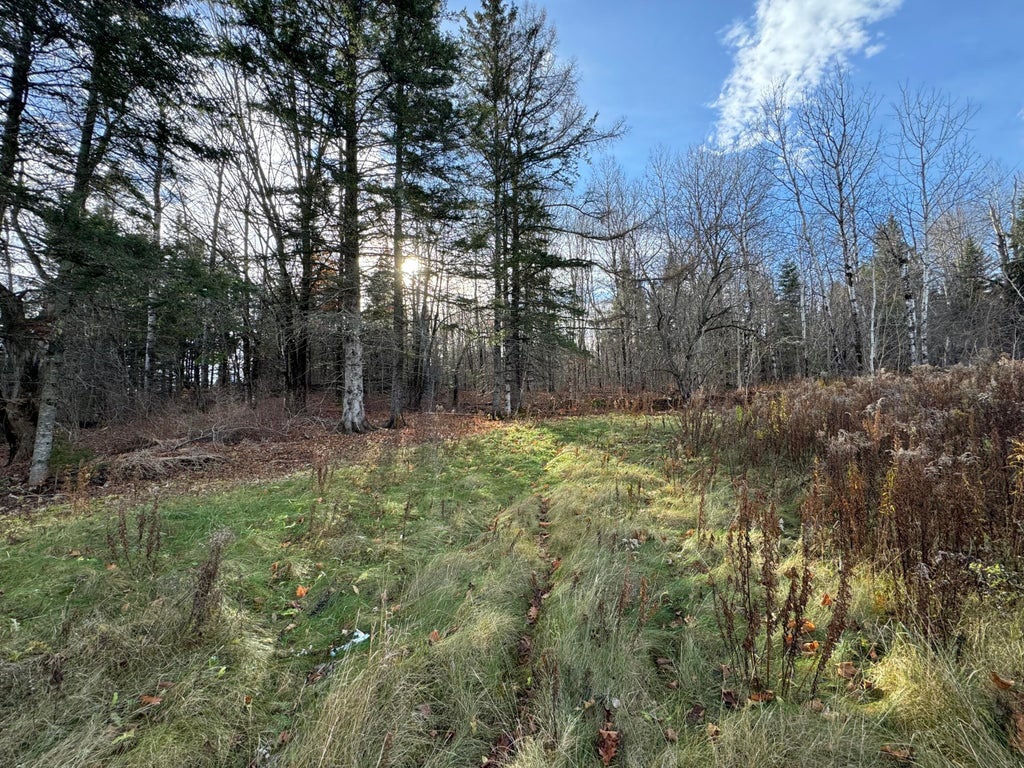 Photo of 16 High Street, Westfield, ME 04787 (MLS # 1676980)