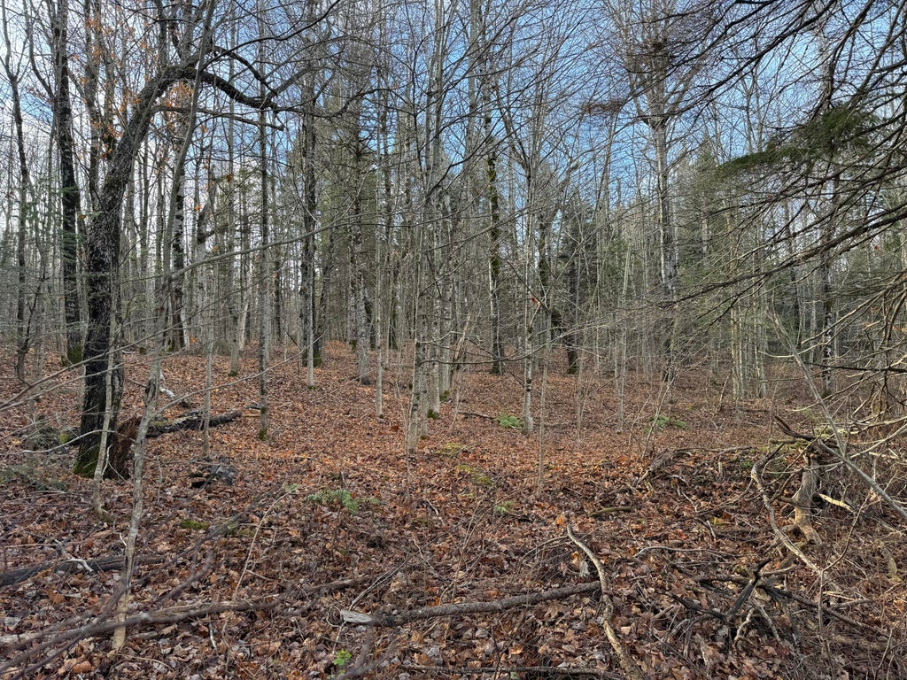 Photo of 16 High Street, Westfield, ME 04787 (MLS # 1676980)
