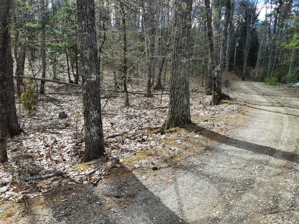 Photo of 0 Libby Road, Jefferson, ME 04348 (MLS # 1673677)