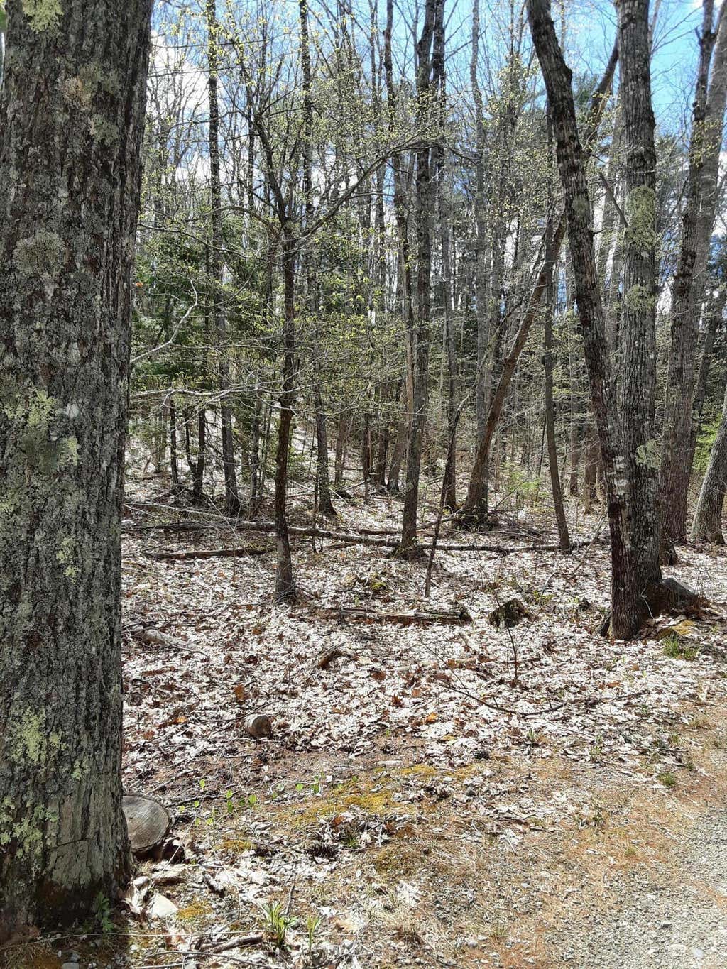 Photo of 0 Libby Road, Jefferson, ME 04348 (MLS # 1673677)
