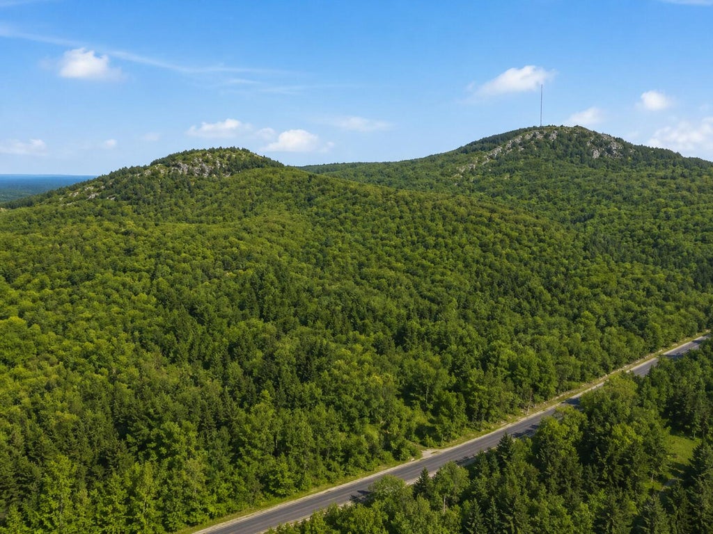 Photo of 0 Airline Road, Clifton, ME 04428 (MLS # 1659565)