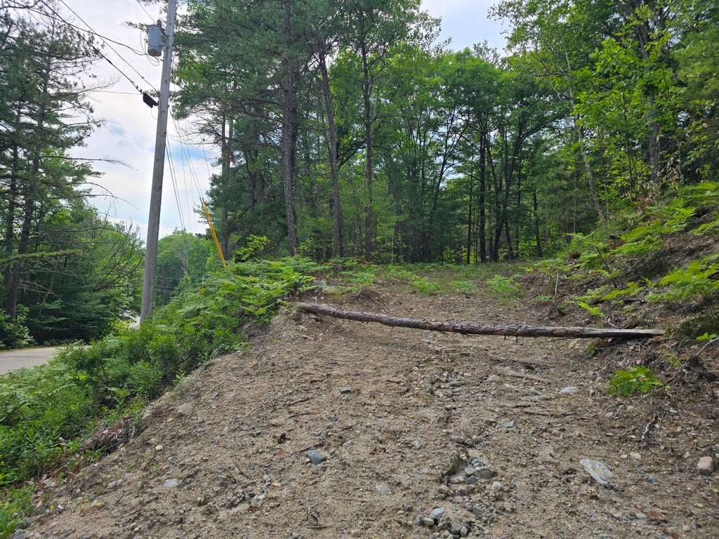 Photo of 29C Shepherds River Road, Brownfield, ME 04010 (MLS # 1670626)